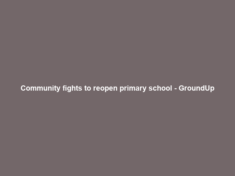 Community fights to reopen primary school – GroundUp