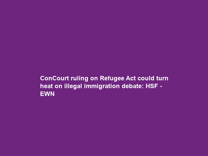 ConCourt ruling on Refugee Act could turn heat on illegal immigration debate: HSF – EWN