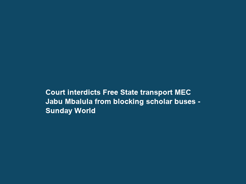 Court interdicts Free State transport MEC Jabu Mbalula from blocking scholar buses – Sunday World