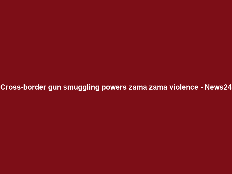 Cross-border gun smuggling powers zama zama violence – News24