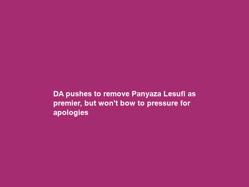 DA pushes to remove Panyaza Lesufi as premier, but won’t bow to pressure for apologies