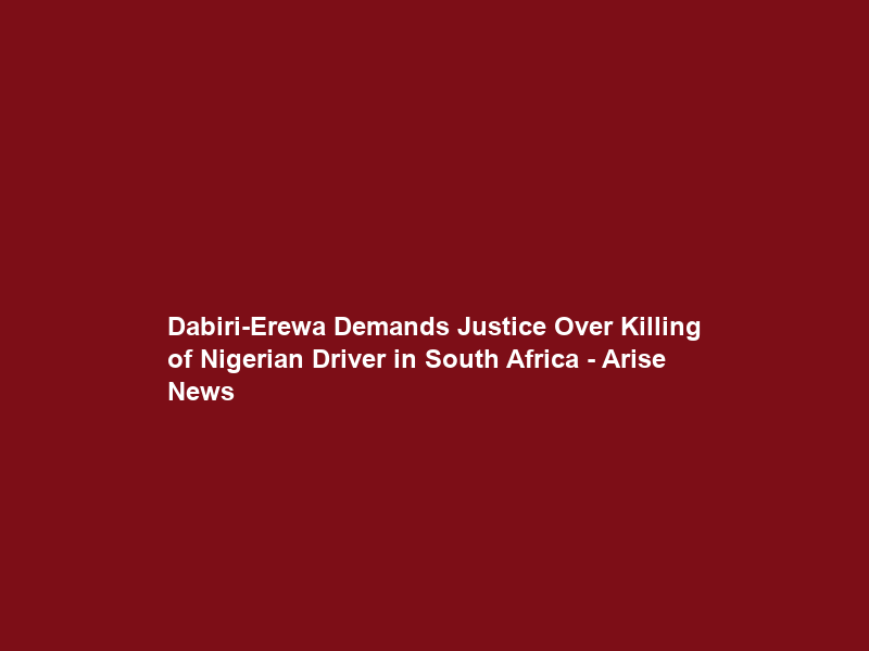 Dabiri-Erewa Demands Justice Over Killing of Nigerian Driver in South Africa – Arise News