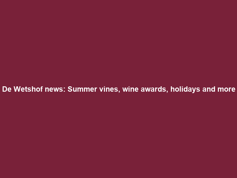 De Wetshof news: Summer vines, wine awards, holidays and more