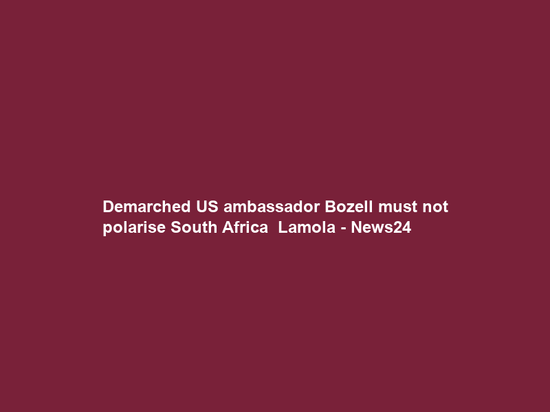 Demarched US ambassador Bozell must not polarise South Africa – Lamola – News24