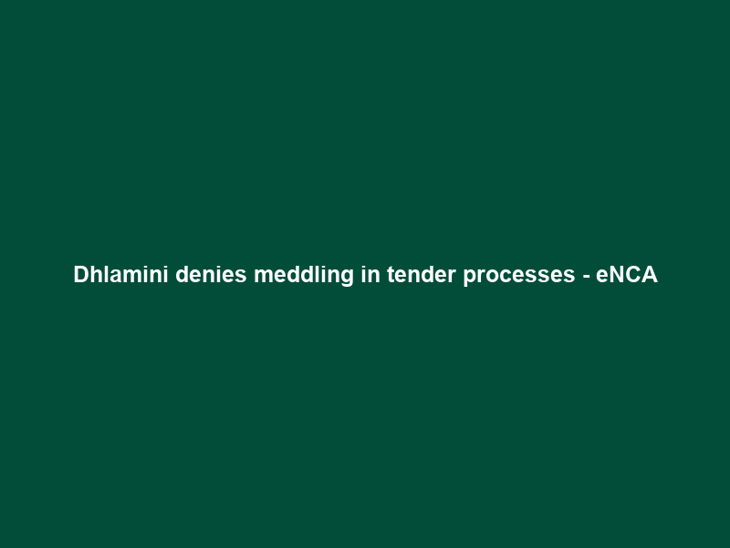 Dhlamini denies meddling in tender processes – eNCA