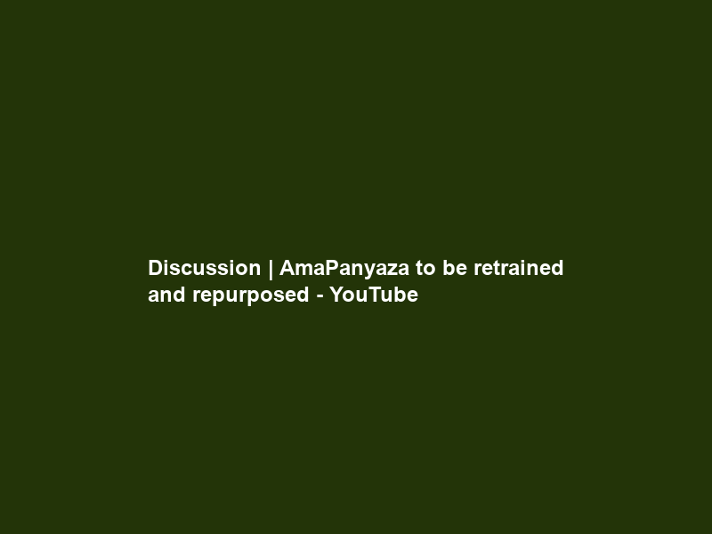 Discussion | AmaPanyaza to be retrained and repurposed – YouTube