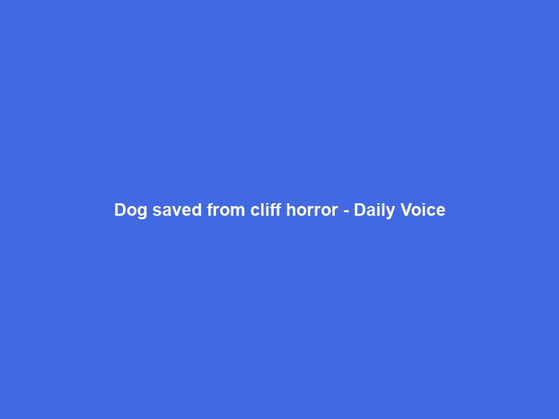 Dog saved from cliff horror – Daily Voice