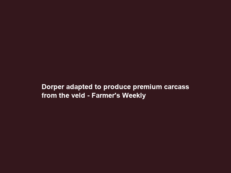 Dorper adapted to produce premium carcass from the veld – Farmer’s Weekly