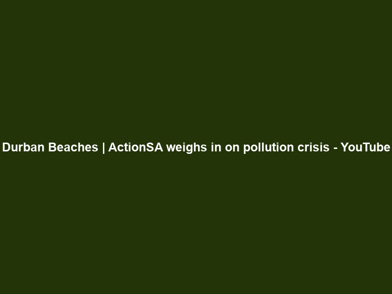 Durban Beaches | ActionSA weighs in on pollution crisis – YouTube