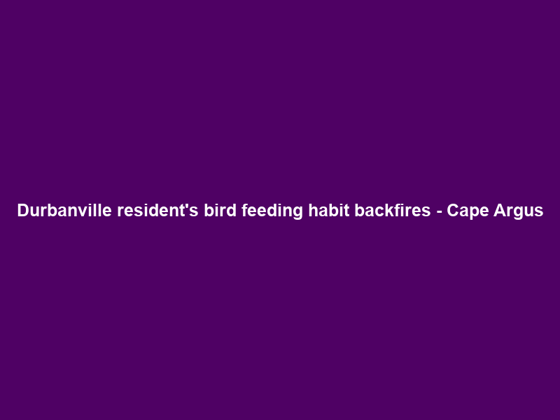 Durbanville resident’s bird feeding habit backfires – Cape Argus