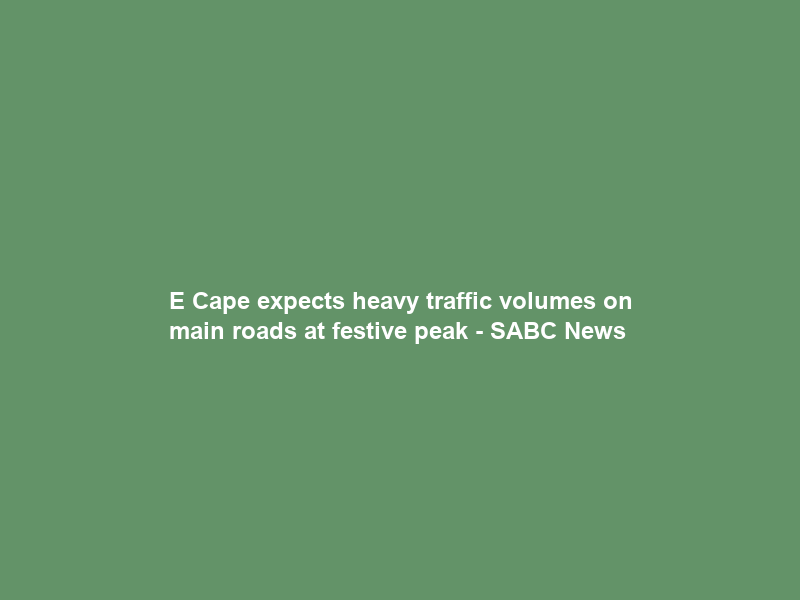 E Cape expects heavy traffic volumes on main roads at festive peak – SABC News