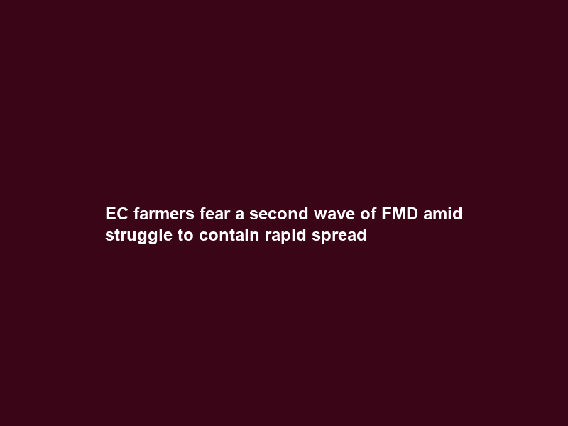 EC farmers fear a second wave of FMD amid struggle to contain rapid spread