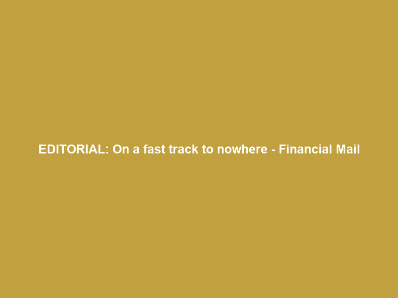 EDITORIAL: On a fast track to nowhere – Financial Mail