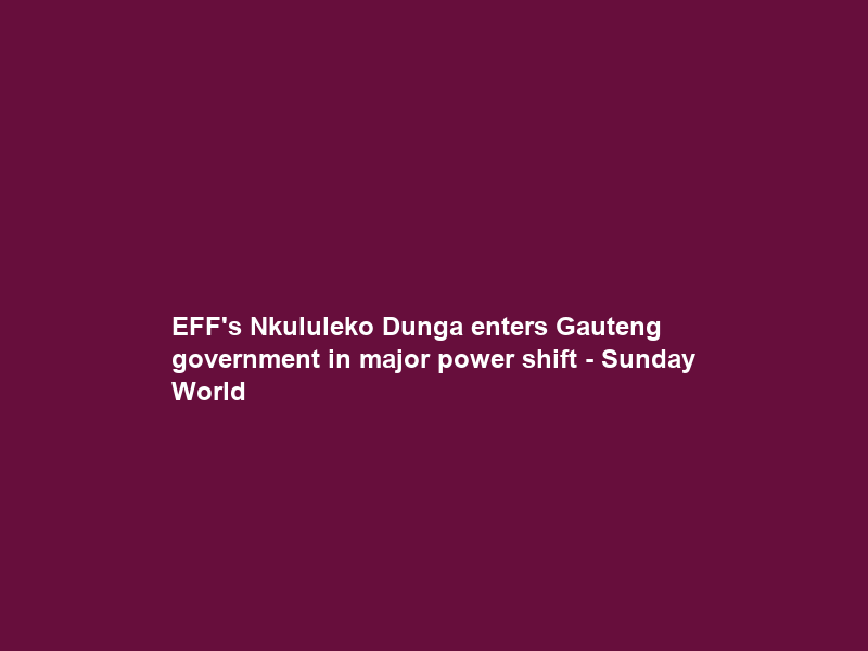 EFF’s Nkululeko Dunga enters Gauteng government in major power shift – Sunday World