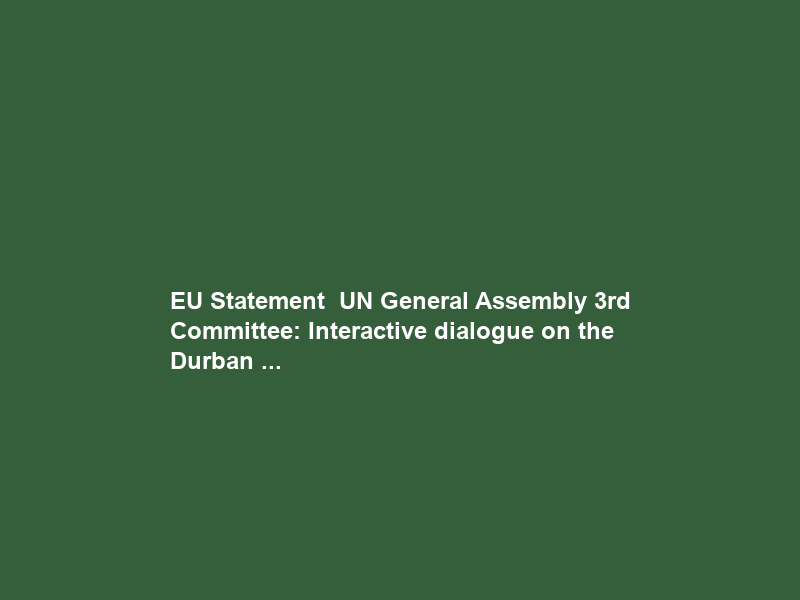 EU Statement – UN General Assembly 3rd Committee: Interactive dialogue on the Durban …