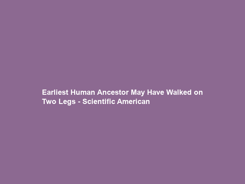 Earliest Human Ancestor May Have Walked on Two Legs – Scientific American