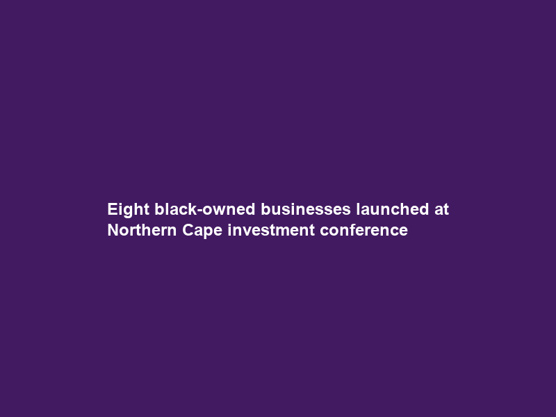 Eight black-owned businesses launched at Northern Cape investment conference