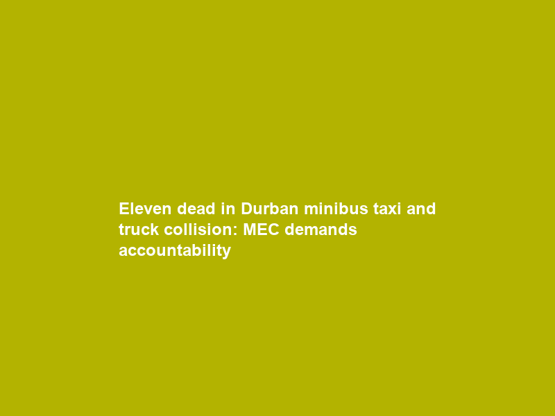 Eleven dead in Durban minibus taxi and truck collision: MEC demands accountability