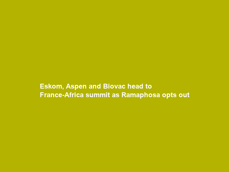 Eskom, Aspen and Biovac head to France-Africa summit as Ramaphosa opts out