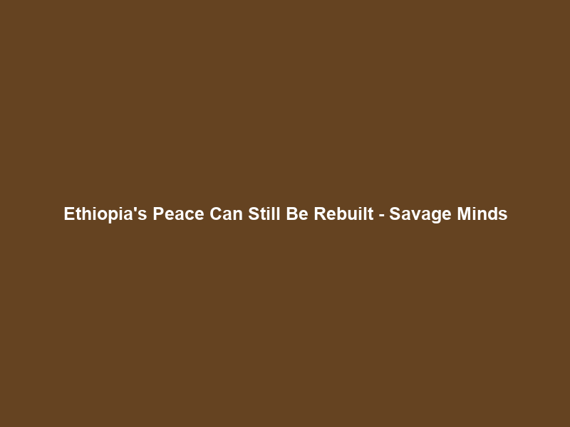 Ethiopia’s Peace Can Still Be Rebuilt – Savage Minds