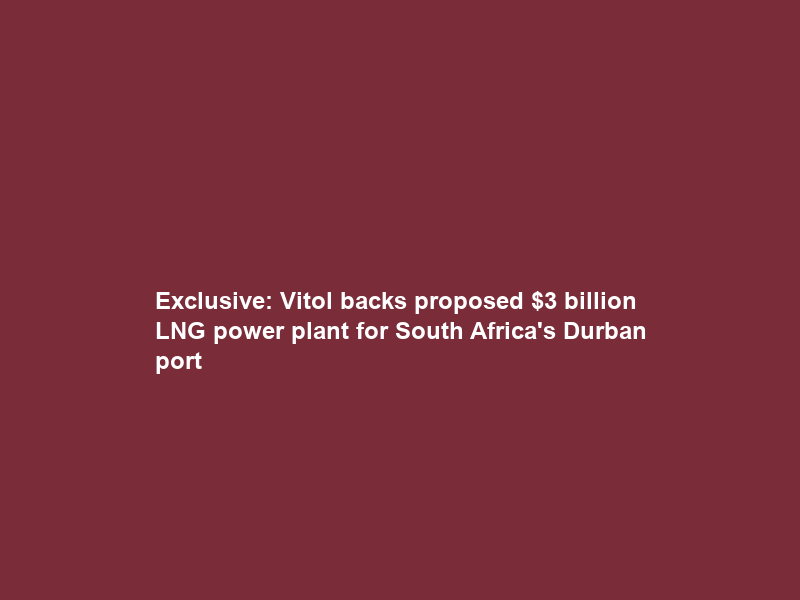 Exclusive: Vitol backs proposed  billion LNG power plant for South Africa’s Durban port