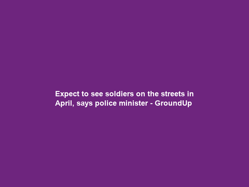 Expect to see soldiers on the streets in April, says police minister – GroundUp