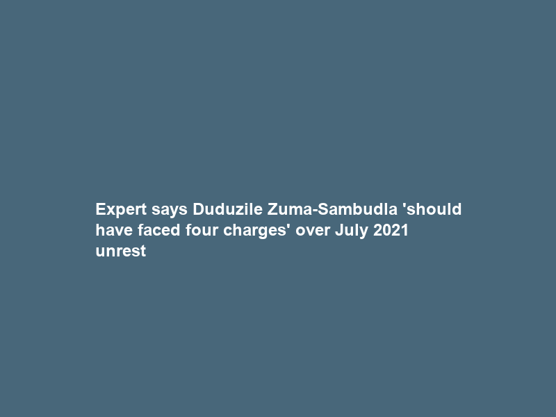 Expert says Duduzile Zuma-Sambudla ‘should have faced four charges’ over July 2021 unrest