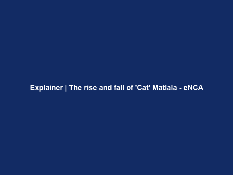 Explainer | The rise and fall of ‘Cat’ Matlala – eNCA