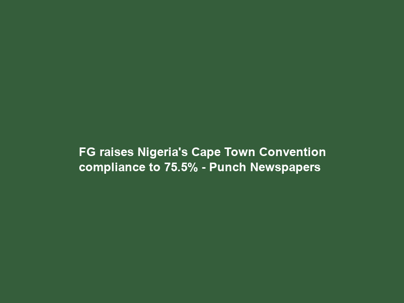 FG raises Nigeria’s Cape Town Convention compliance to 75.5% – Punch Newspapers