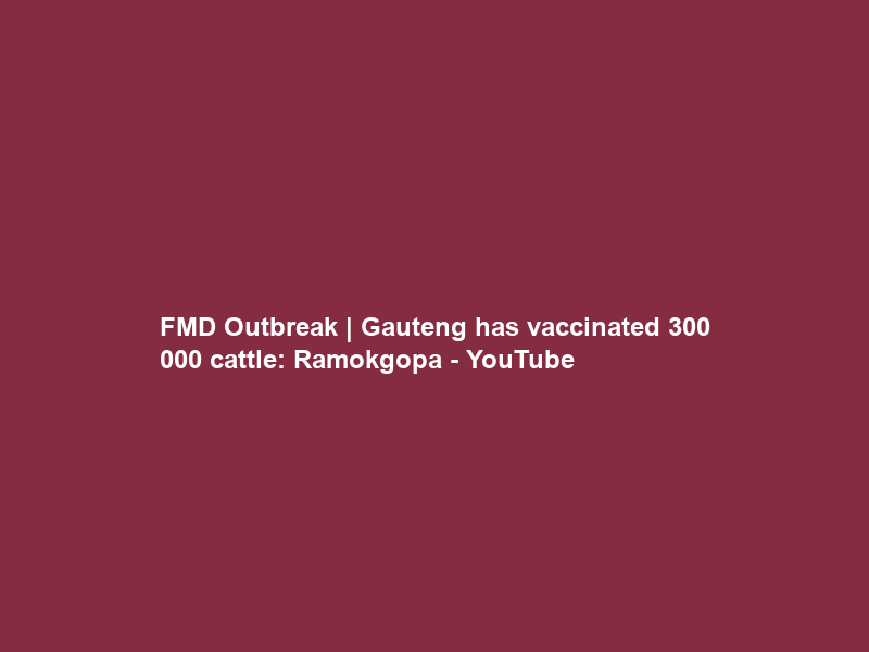FMD Outbreak | Gauteng has vaccinated 300 000 cattle: Ramokgopa – YouTube