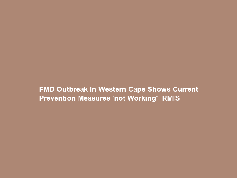 FMD Outbreak In Western Cape Shows Current Prevention Measures ‘not Working’ – RMIS