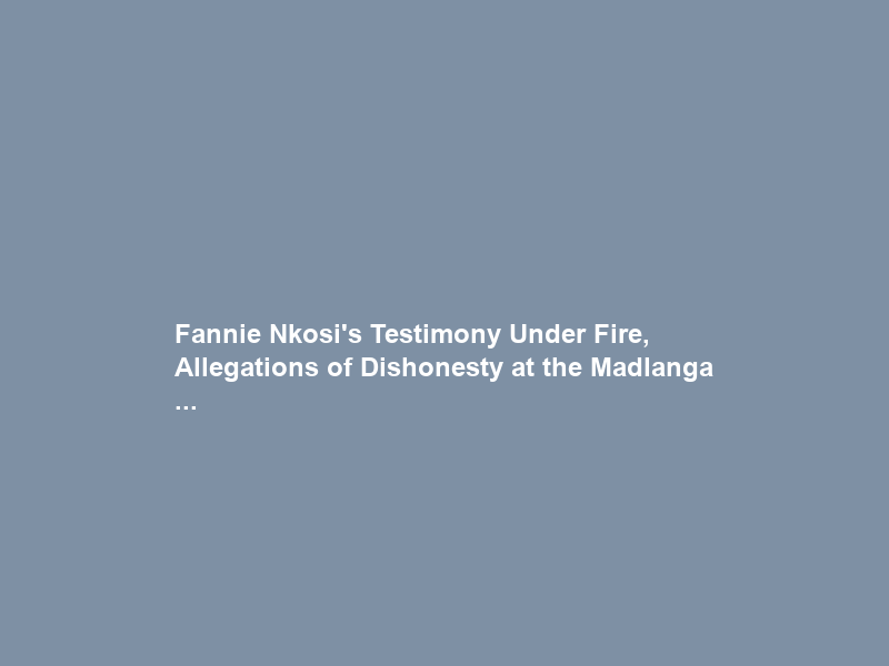 Fannie Nkosi’s Testimony Under Fire, Allegations of Dishonesty at the Madlanga …