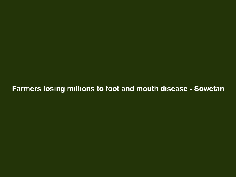 Farmers losing millions to foot and mouth disease – Sowetan