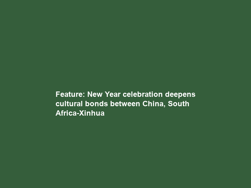 Feature: New Year celebration deepens cultural bonds between China, South Africa-Xinhua