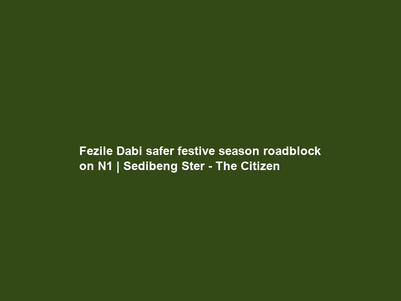 Fezile Dabi safer festive season roadblock on N1 | Sedibeng Ster – The Citizen