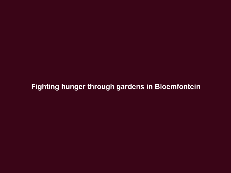 Fighting hunger through gardens in Bloemfontein