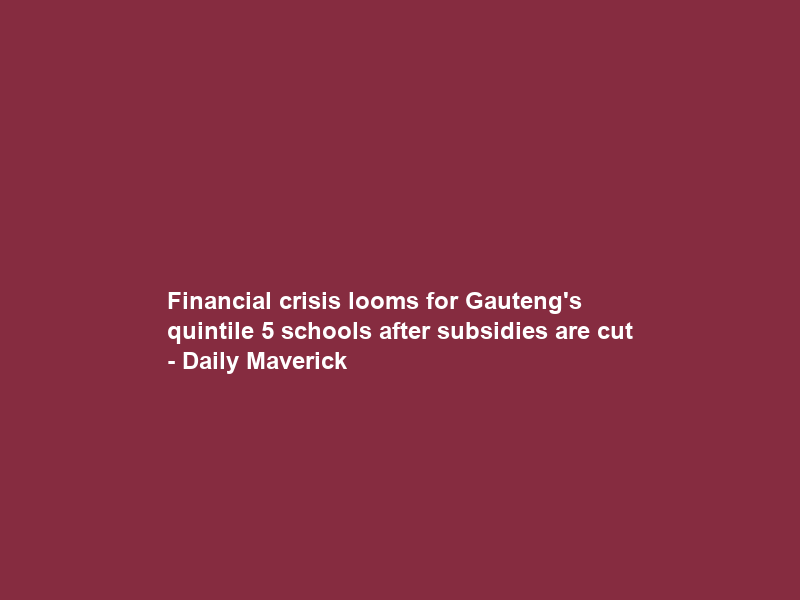 Financial crisis looms for Gauteng’s quintile 5 schools after subsidies are cut – Daily Maverick