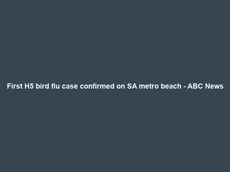 First H5 bird flu case confirmed on SA metro beach – ABC News