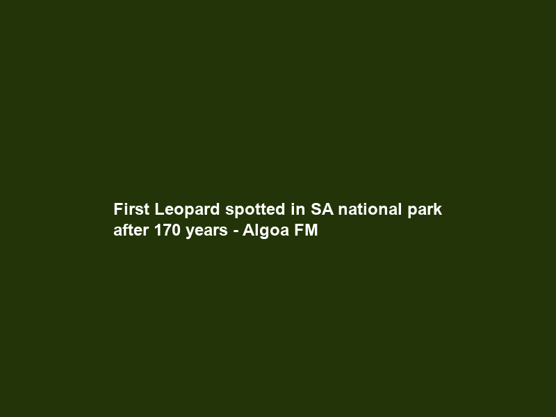 First Leopard spotted in SA national park after 170 years – Algoa FM