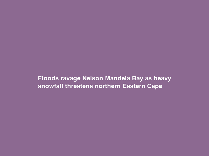 Floods ravage Nelson Mandela Bay as heavy snowfall threatens northern Eastern Cape