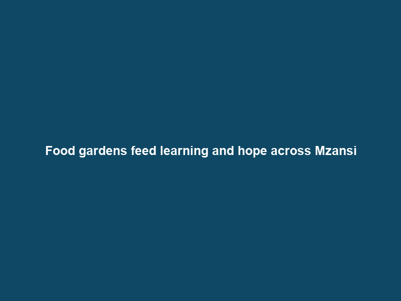 Food gardens feed learning and hope across Mzansi