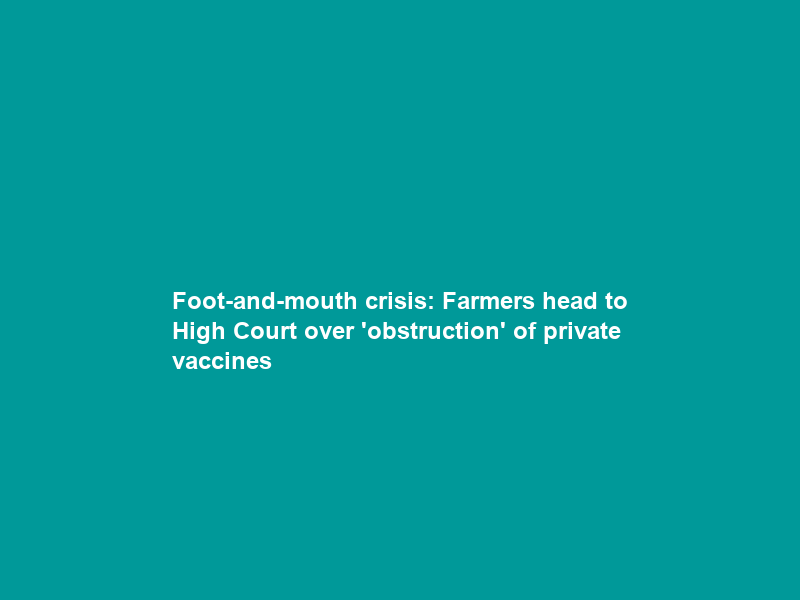 Foot-and-mouth crisis: Farmers head to High Court over ‘obstruction’ of private vaccines