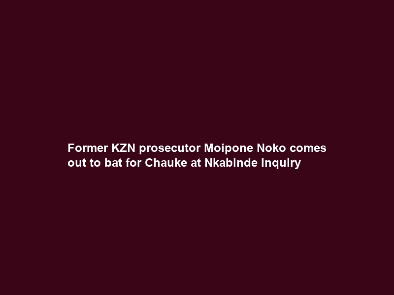 Former KZN prosecutor Moipone Noko comes out to bat for Chauke at Nkabinde Inquiry