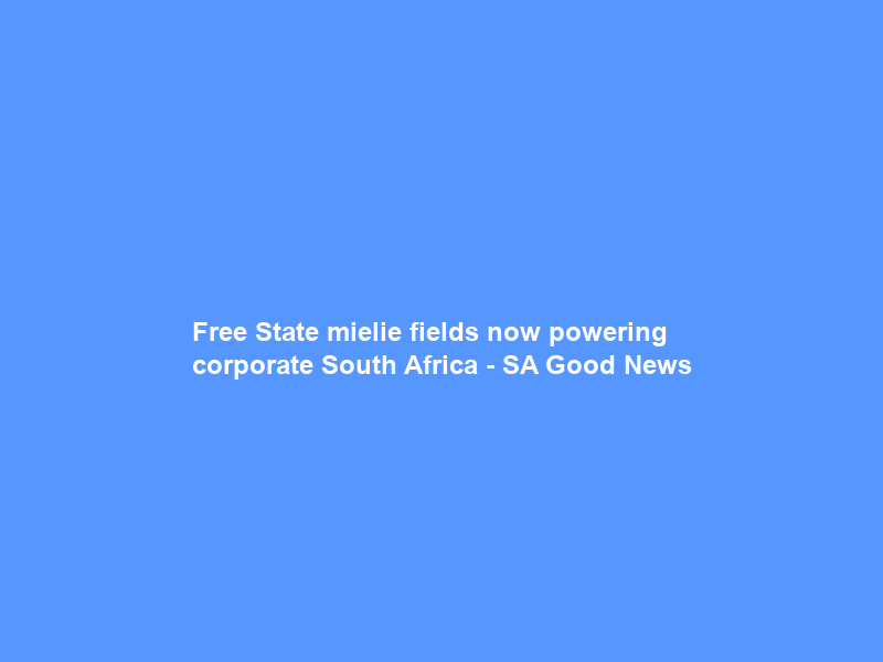 Free State mielie fields now powering corporate South Africa – SA Good News