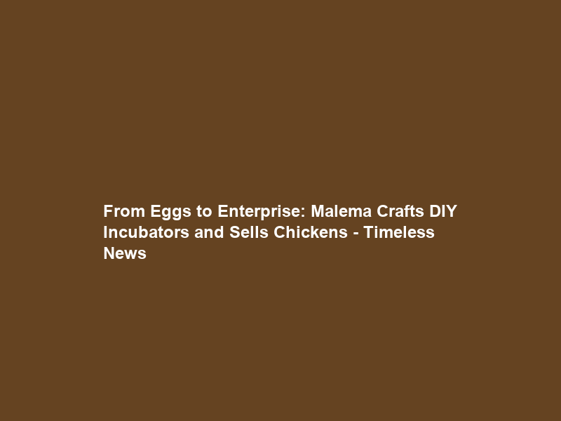 From Eggs to Enterprise: Malema Crafts DIY Incubators and Sells Chickens – Timeless News