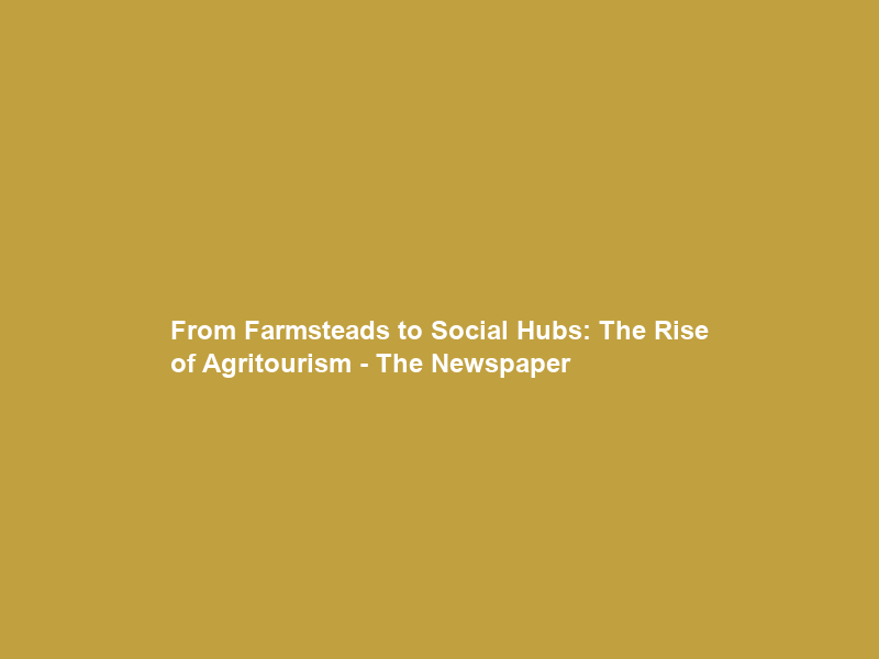 From Farmsteads to Social Hubs: The Rise of Agritourism – The Newspaper