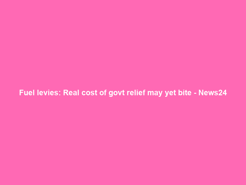 Fuel levies: Real cost of govt relief may yet bite – News24
