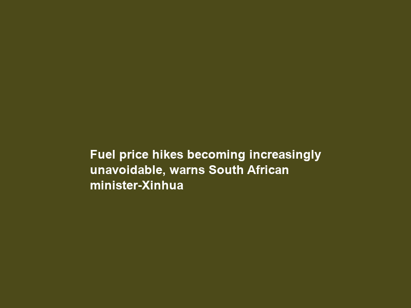 Fuel price hikes becoming “increasingly unavoidable,” warns South African minister-Xinhua
