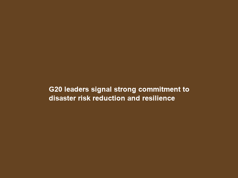 G20 leaders signal strong commitment to disaster risk reduction and resilience