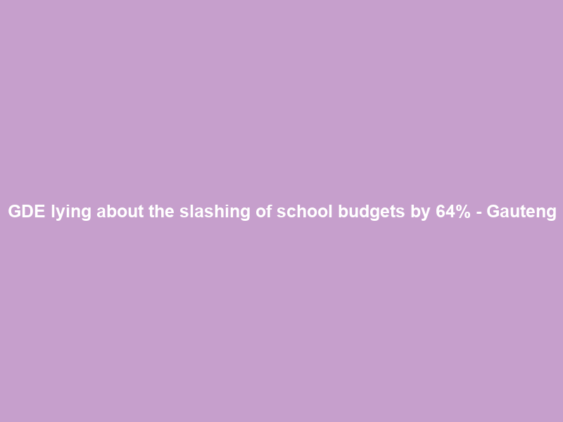 GDE lying about the slashing of school budgets by 64% – Gauteng